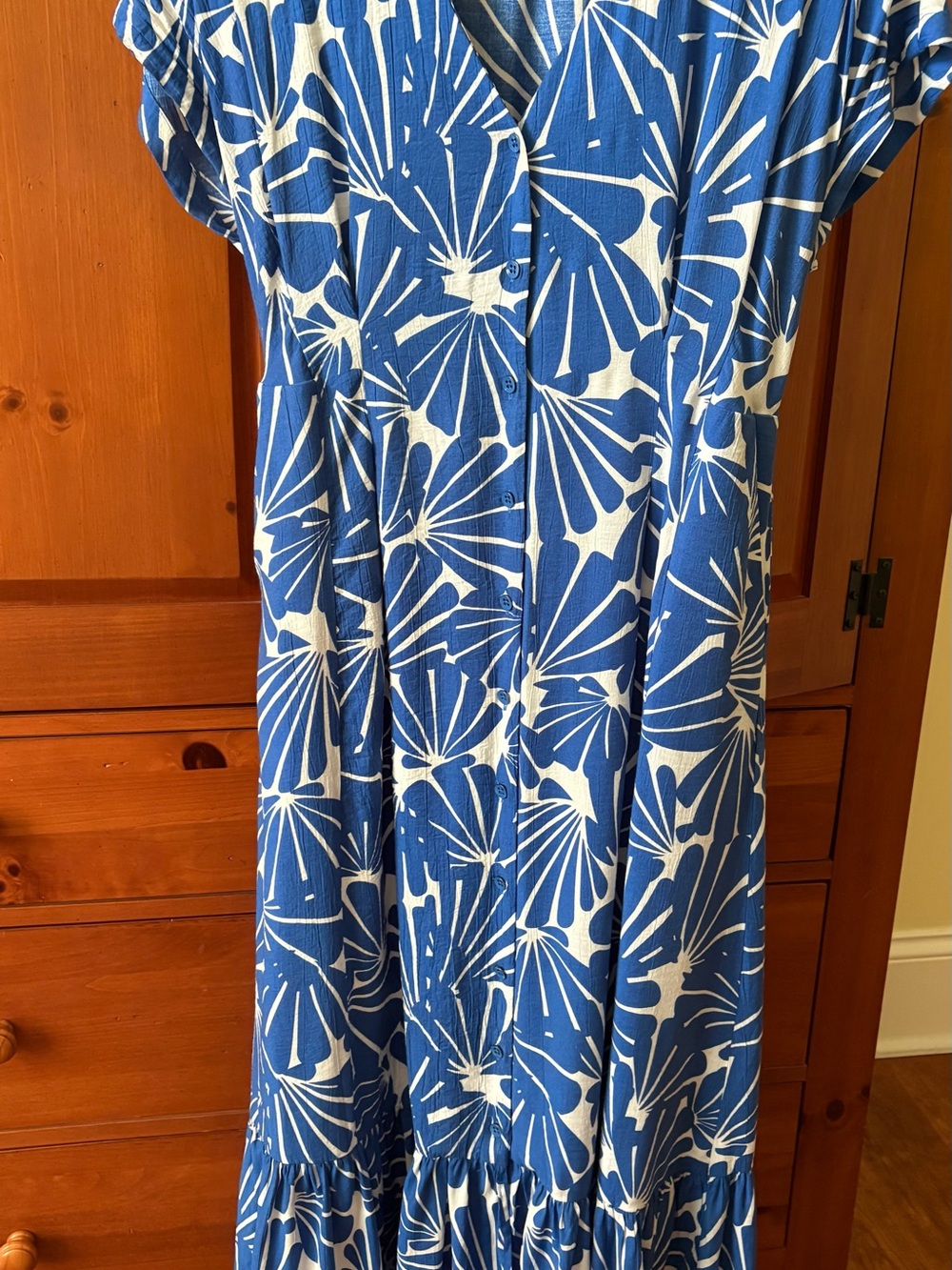 Cabi Blue & White Printed maxi dress